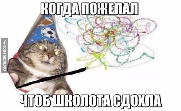 ШКОЛОТА