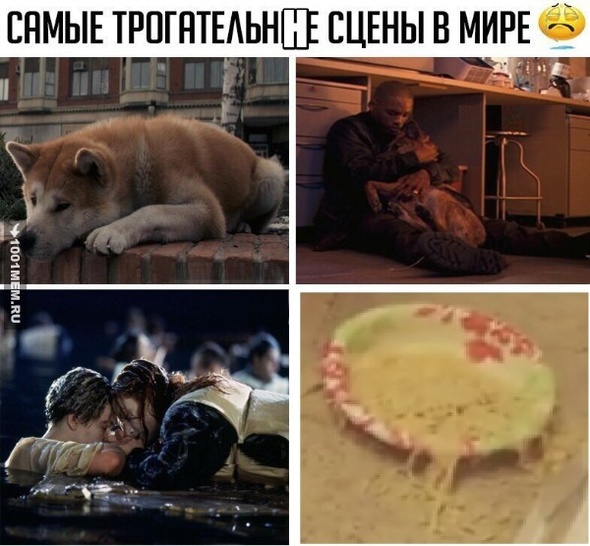 Трогательнее Хатико