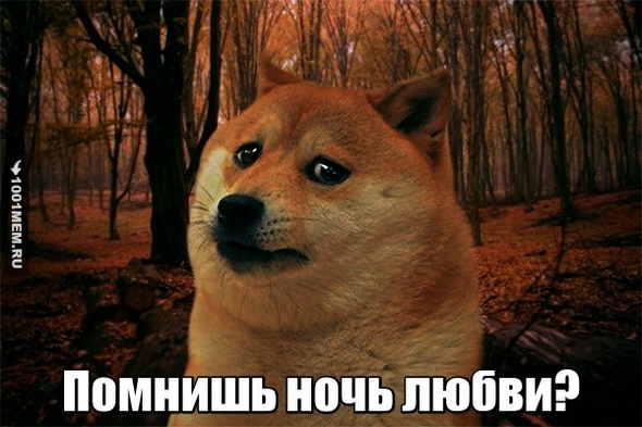 помнишь