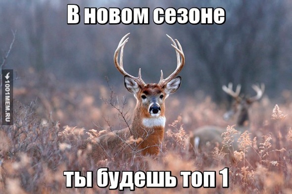 топ1