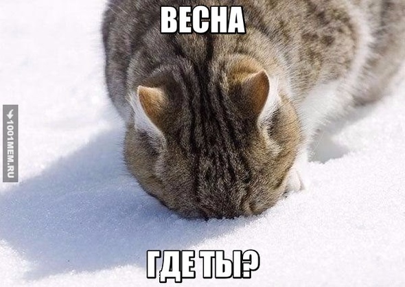 Весна