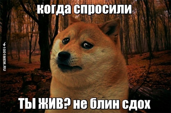 лол