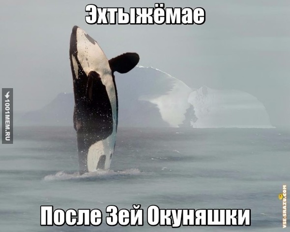 Окуняшки