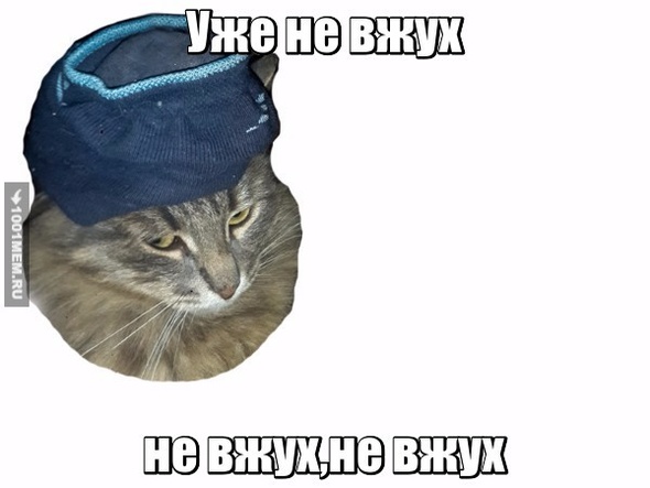 не вжух