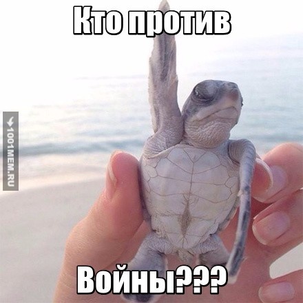 Кто против войны???