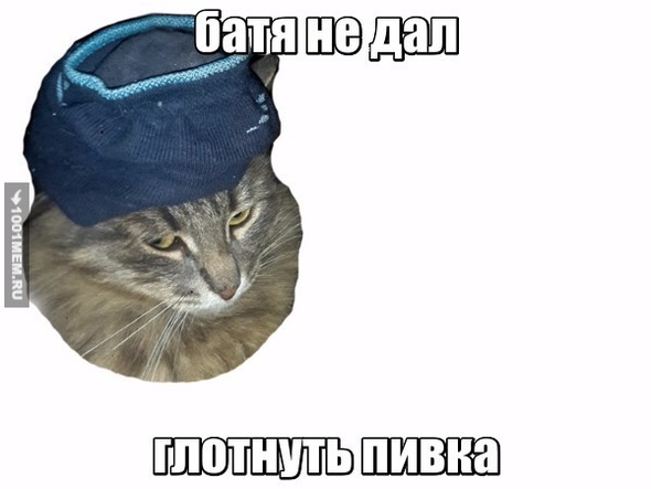 батя и пиво