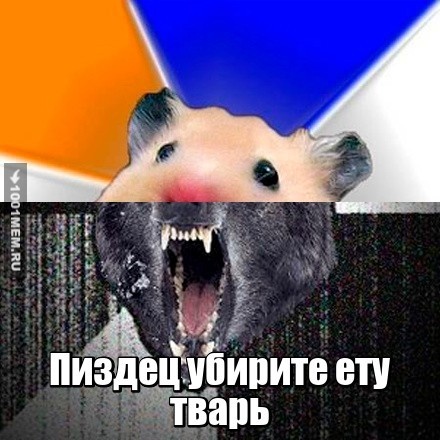 просто бурундук