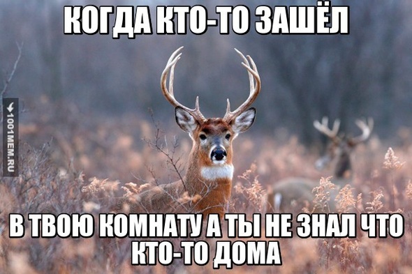 Уппссс