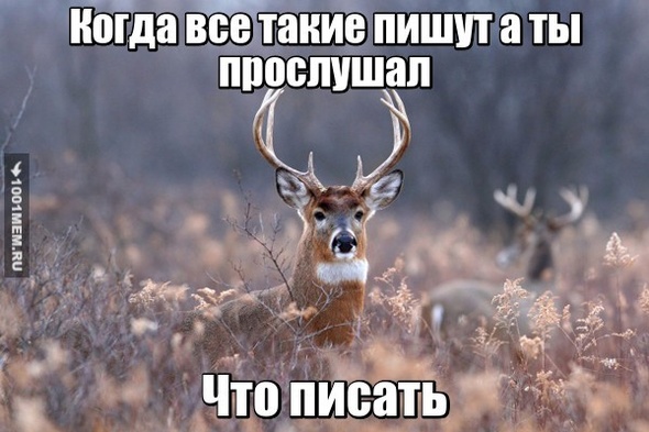 Отличник