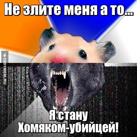 Хомяк