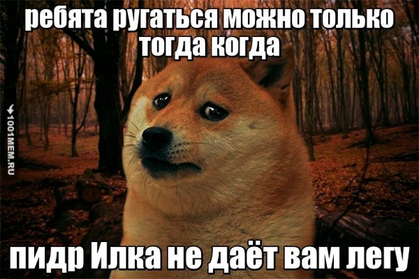 не ругайтесь люд