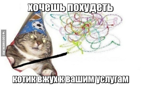 котик вжуфик