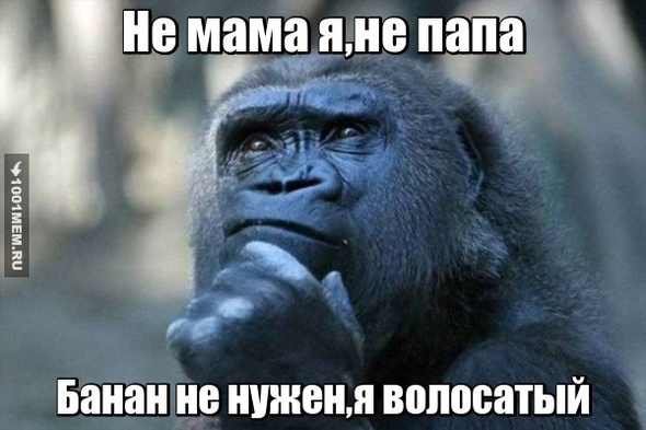 Не приходил,не уходил,не пил