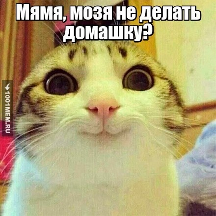 Мозя?