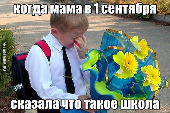 школа,жиза