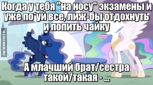 MLP мем