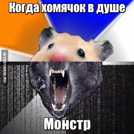 Хомяк