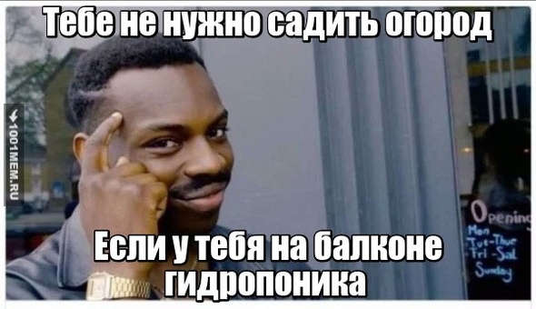 Гидропоника