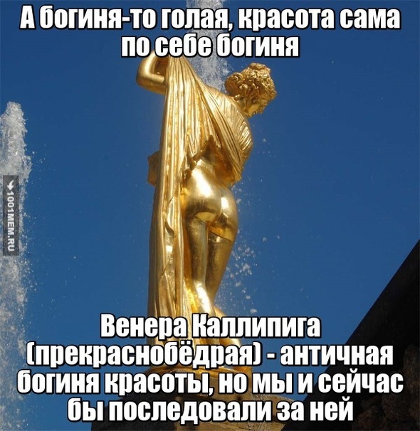 красота