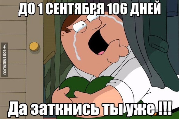 учебный год