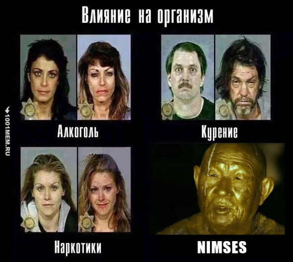 Нимсес