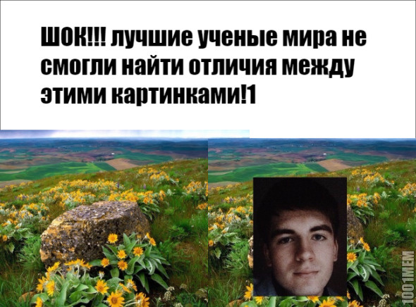 Отличия