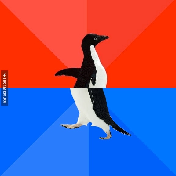 Socially Awesome-Awkward penguin