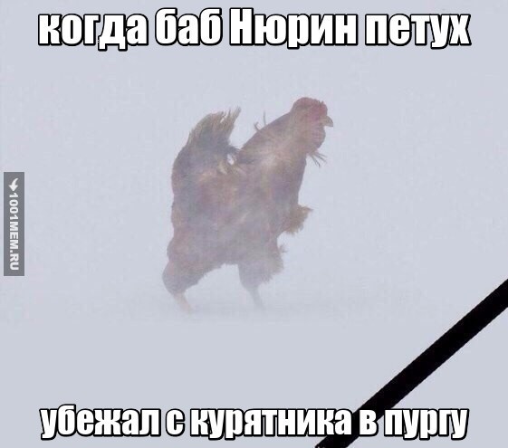 петух