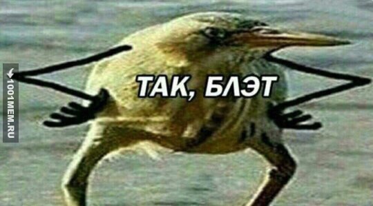 Так,блэт