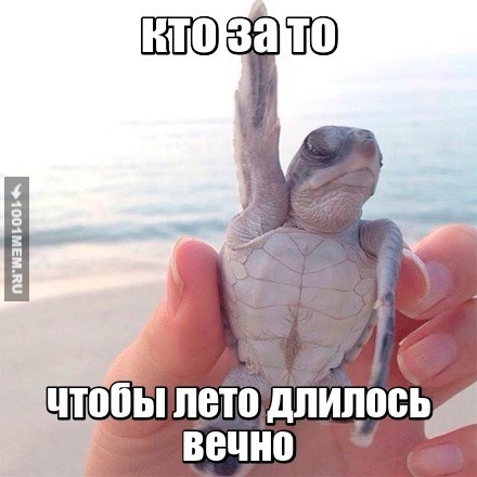 ЛЕТО)))