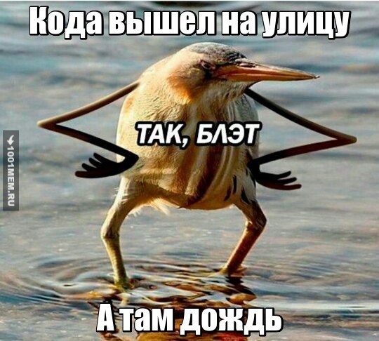 Так , блэт