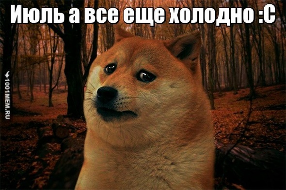 Лето С: