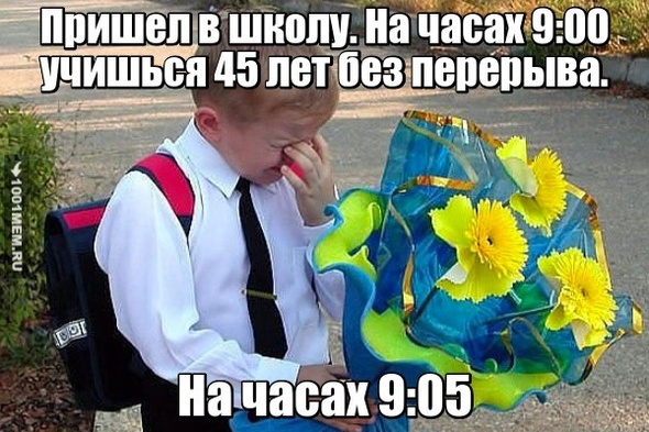 Учёба