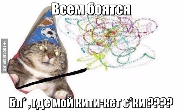 конченая котейка