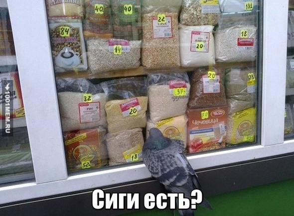 Сиги есть?