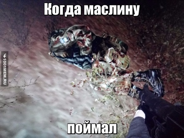 Маслину поймал