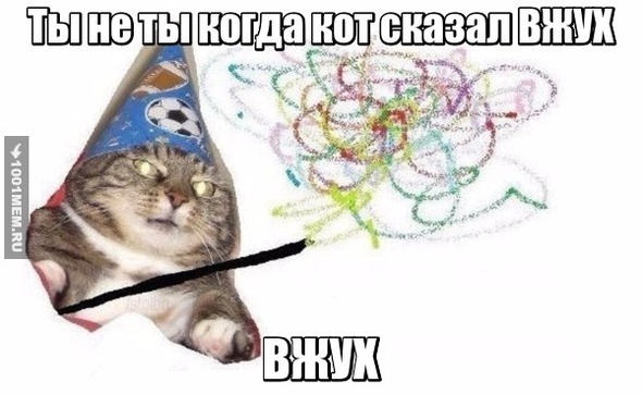 Кот Вжух