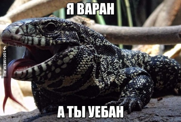 Варанус