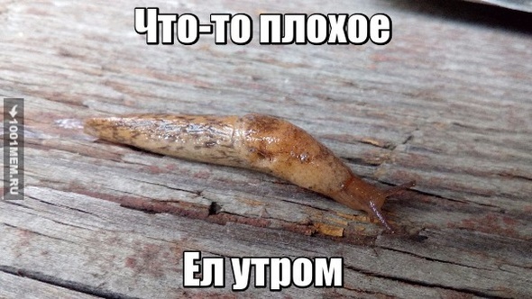 Ел утром грязь