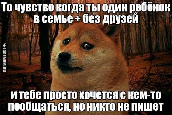 Моё лето