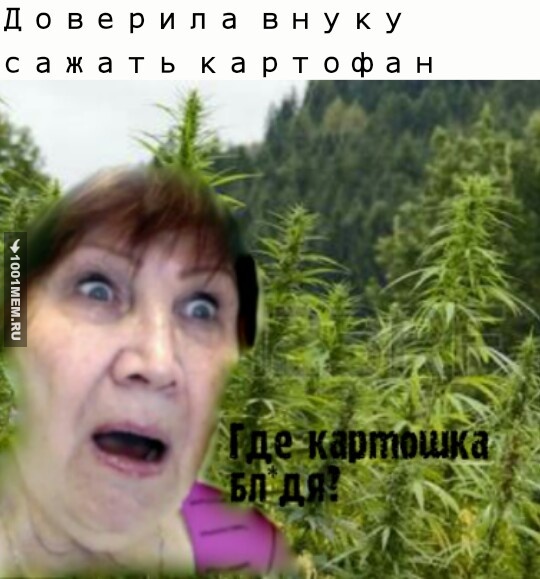 Картошка