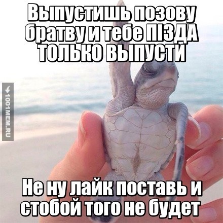 МЫ СУПЕР ЧЕРЕПАШКИ