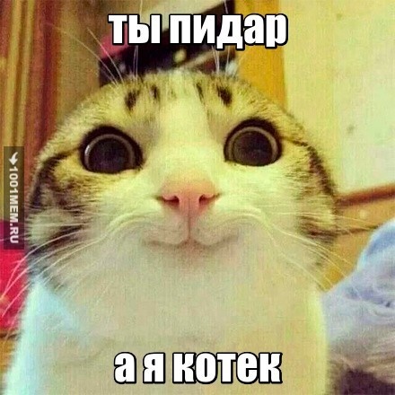 Котек