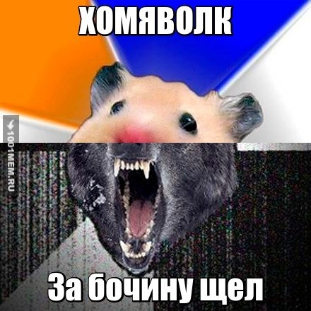 Хомяволк