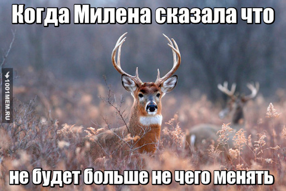 о теле Милены