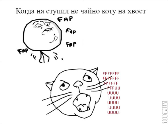 Наступил на кота