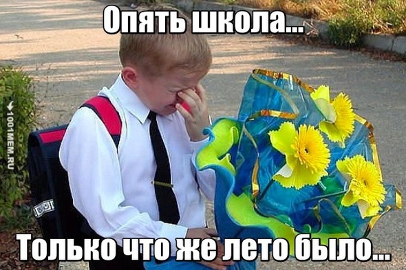 школа достала