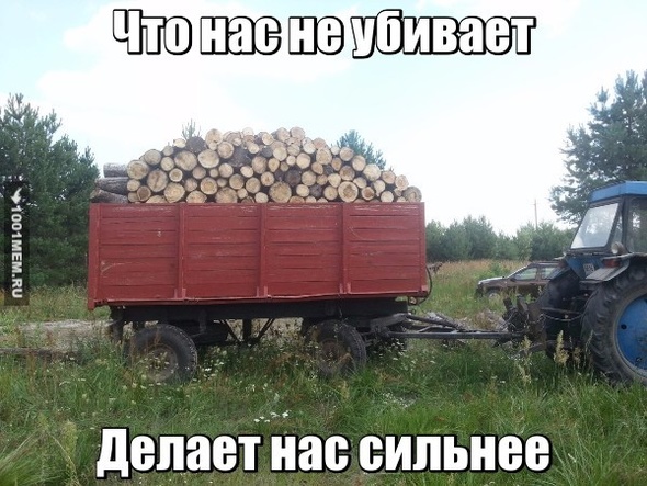 Что не убивает