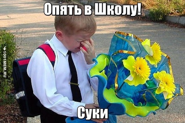 Опять в Школу.