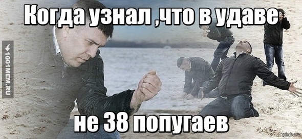 38 попугаев